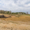 Działka Straszyn ul. Zachodnia