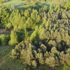 Nietypowa działka 2 ha w Kawęczynie gm. Ciepielów