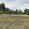 Działka Stara dąbrowa