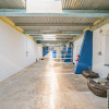 Lokal Opole