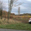 Działka Stara dąbrowa