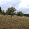 Działka Stara dąbrowa
