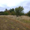 Działka Stara dąbrowa