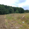 Działka Stara dąbrowa