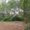Okolice Grodziska Maz 1600m2 od mkwadrat.eu