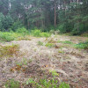 Okolice Grodziska Maz 1600m2 od mkwadrat.eu