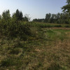 Działka Klembów