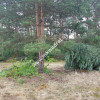Okolice Grodziska Maz 1600m2 od mkwadrat.eu