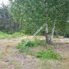 Okolice Grodziska Maz 1600m2 od mkwadrat.eu