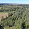 Działka Rydzewo ul. Mazurska