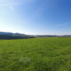 Działka w Grywałdzie; 1,1003 ha; warunki zabudowy