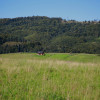 Działka w Grywałdzie; 1,1003 ha; warunki zabudowy