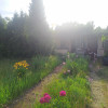 Ogródek działkowy ROD, Legnica, 3 ary