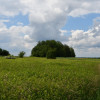 Działka inwestycyjna 81.7a w Krasne