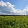 Działka inwestycyjna 81.7a w Krasne