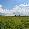 Działka inwestycyjna 81.7a w Krasne