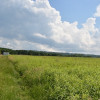 Działka inwestycyjna 81.7a w Krasne