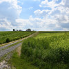 Działka inwestycyjna 81.7a w Krasne