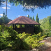 Ogródek działkowy – ROD Ziemia Bytomska, Nowy Bytom | 396 m² | 95 000 zł