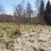 Działka Sułów