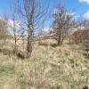 Działka Sułów