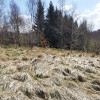 Działka Sułów
