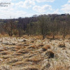 Działka Sułów