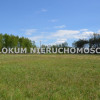 Działka Dąbrowa Tarnowska Bagienica