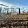 Mieszkanie Pisarzowice