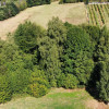 Działka Janowice