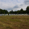 Działka Morzychna
