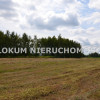 Działka Morzychna