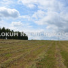 Działka Morzychna