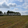 Działka Morzychna