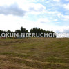 Działka Morzychna