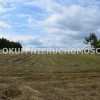 Działka Morzychna