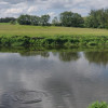 Działka Bronowo