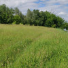 Działka Bronowo
