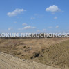 Działka Oleśnica