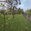 Działka Rogoźnik