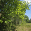 Działka Wiązowna