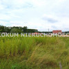 Działka Dąbrowa Tarnowska Czernia