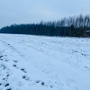 Działka Wola Rzędzińska