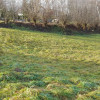 Działka budowlana- Łowczów- Tuchów- Małopolska