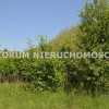 Działka Dąbrowa Tarnowska Ulinów ul. Ulinów