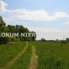 Działka Dąbrowa Tarnowska Ulinów ul. Ulinów