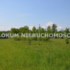Działka Dąbrowa Tarnowska Ulinów ul. Ulinów