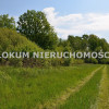 Działka Dąbrowa Tarnowska Ulinów ul. Ulinów