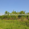 Działka Dąbrowa Tarnowska Ulinów ul. Ulinów