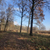 Działka Duchnów ul. Leśny Zakątek